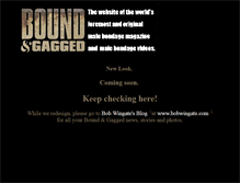 Tablet Screenshot of boundandgagged.com